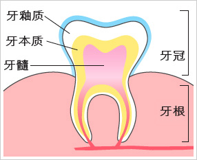 牙髓炎出现时的症状